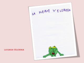 La rana velenosa 