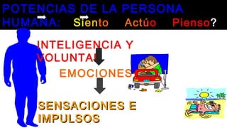 POTENCIAS DE LA PERSONA
HUMANA: Siento Actúo Pienso?
POTENCIAS DE LA PERSONA
HUMANA: Siento Actúo Pienso?
INTELIGENCIA Y
VOLUNTAD
SENSACIONES ESENSACIONES E
IMPULSOSIMPULSOS
EMOCIONES
 