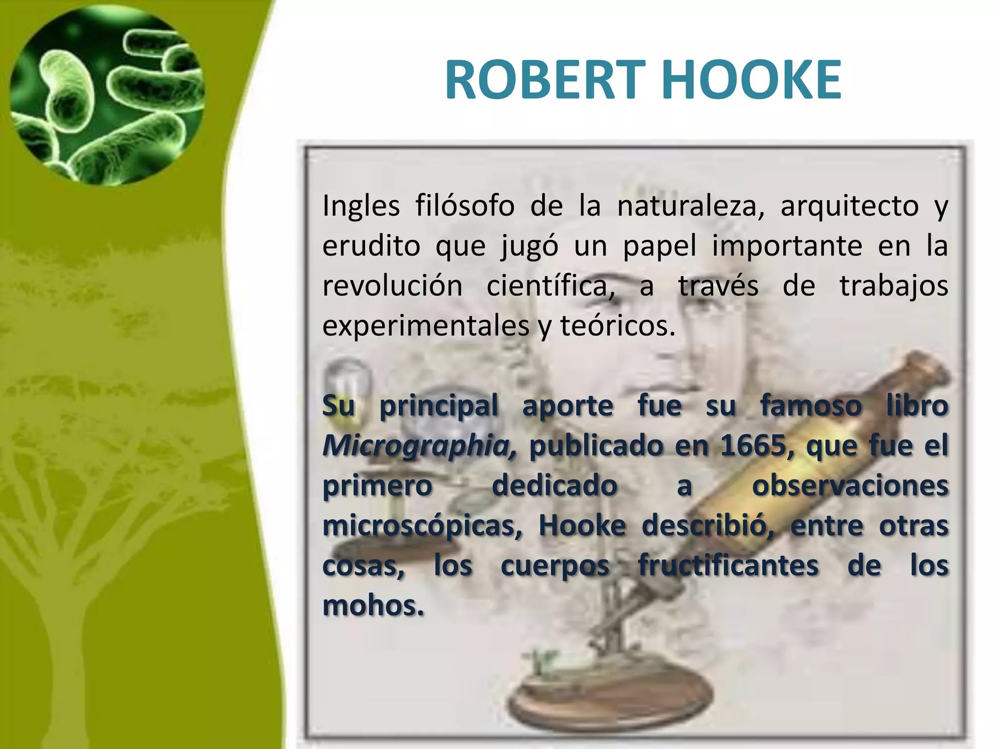 ROBERT HOOKEIngles filósofo de la naturaleza, arquitecto y erudito que jugó un papel importante en la revolución científica, a través de trabajos experimentales y teóricos. Su principal aporte fue su famoso libro Micrographia, publicado en 1665, que fue el primero dedicado a observaciones microscópicas, Hooke describió, entre otras cosas, los cuerpos fructificantes de los mohos.