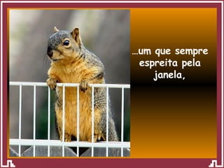 … um que sempre espreita pela janela, 