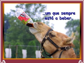 … um que sempre está a beber, 