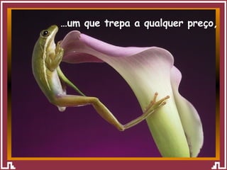 … um que trepa a qualquer preço, 