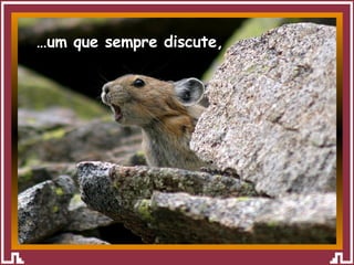 … um que sempre discute, 