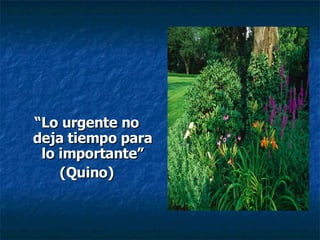 “ Lo urgente no deja tiempo para lo importante” (Quino) 