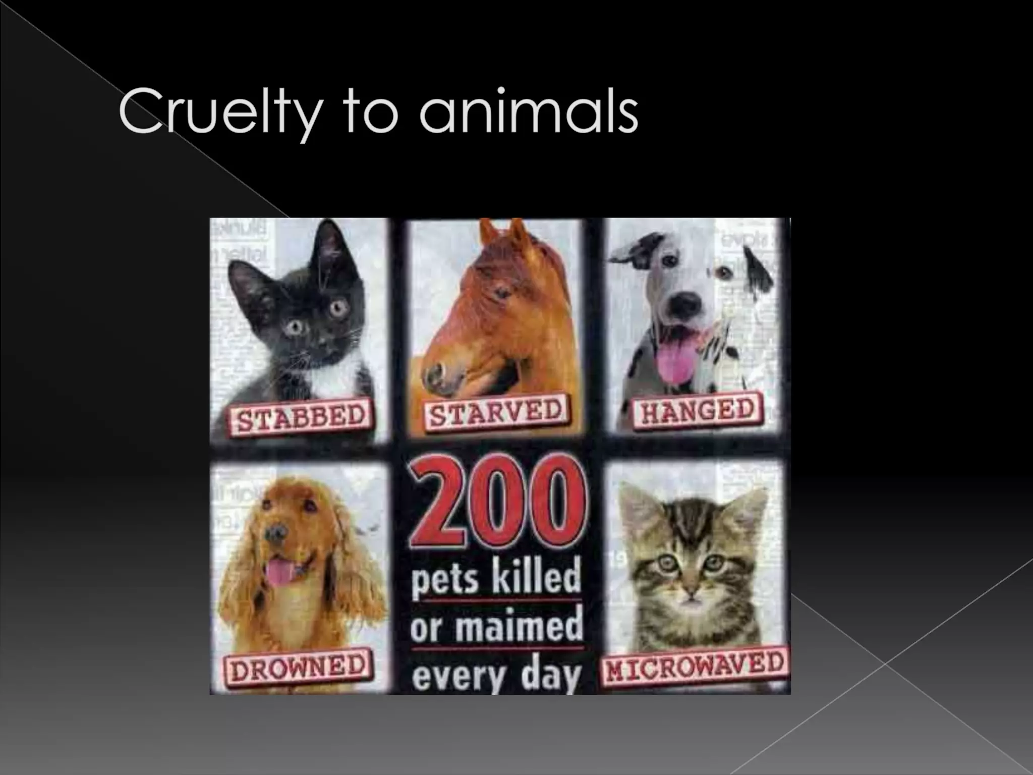Cruelty to animals