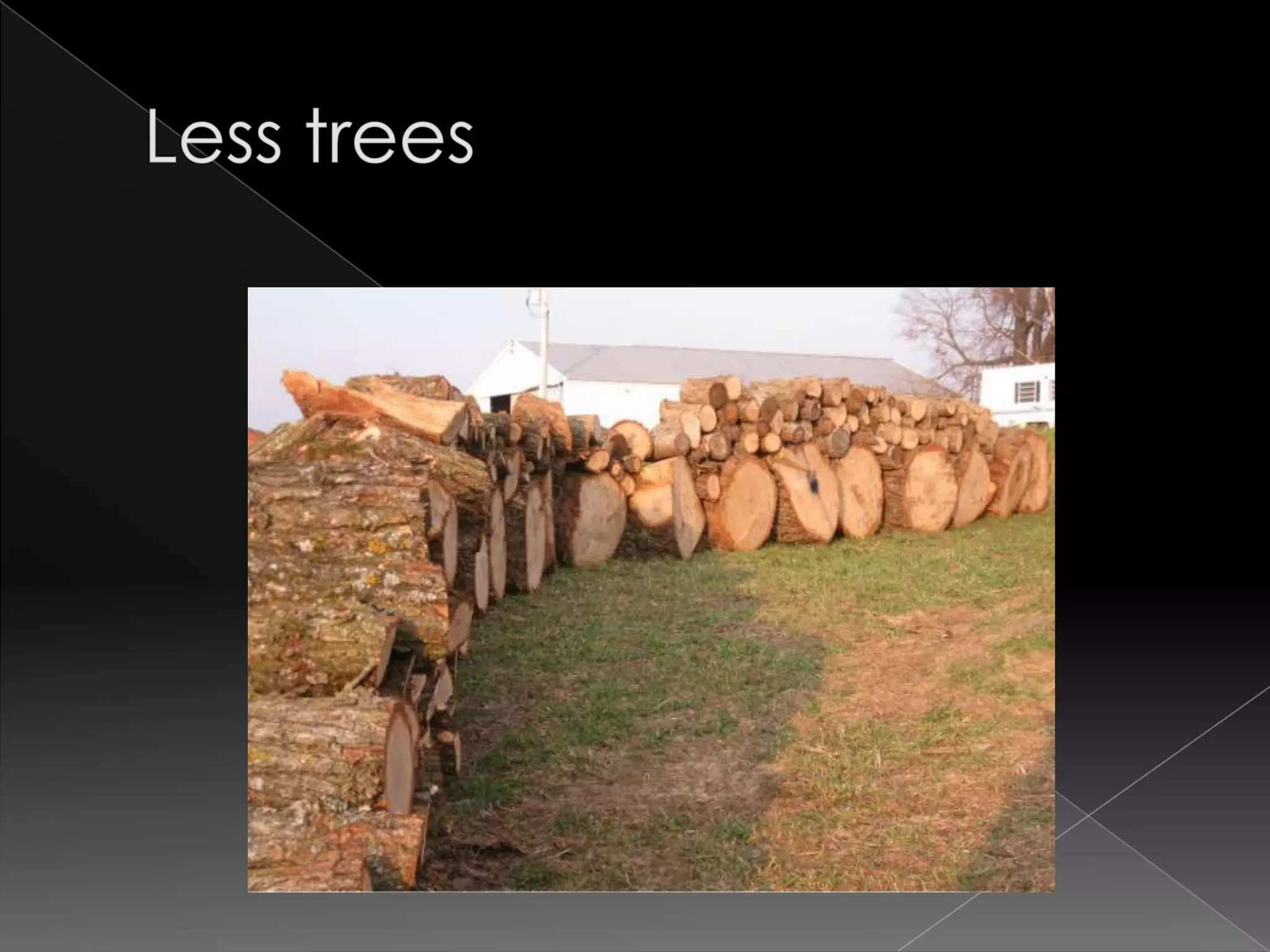 Less trees