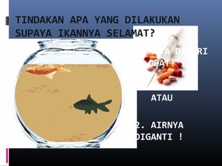 TINDAKAN APA YANG DILAKUKAN
SUPAYA IKANNYA SELAMAT?
1. IKANNYA DIBERI
OBAT!
2. AIRNYA
DIGANTI !
ATAU
 