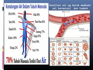 Kualitas air yg buruk membuat
sel bermutasi dan tumbuh
abnormal
 