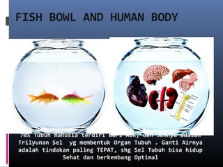 FISH BOWL AND HUMAN BODY
70% Tubuh manusia terdiri dari AIR, dan 30%nya adalah
Trilyunan Sel yg membentuk Organ Tubuh . Ganti Airnya
adalah tindakan paling TEPAT, shg Sel Tubuh bisa hidup
Sehat dan berkembang Optimal
 