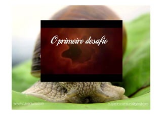 O primeiro desafio




www.ruiventura.com                        rui.pedro.ventura@gmail.com
 