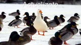 Actualízate
 