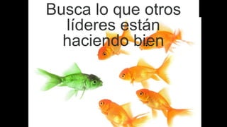 Busca lo que otros
líderes están
haciendo bien
 