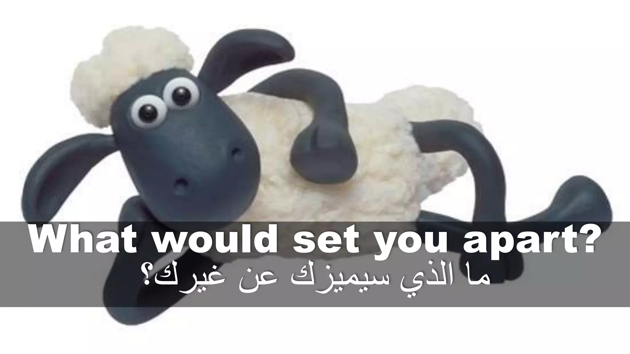 What would set you apart?
‫غيرك؟‬ ‫عن‬ ‫سيميزك‬ ‫الذي‬ ‫ما‬
 