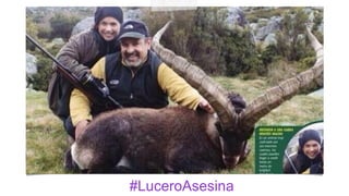 #LuceroAsesina
 