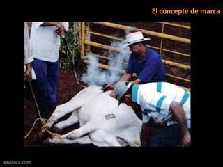 El concepte de marca




xaviroca.com
 