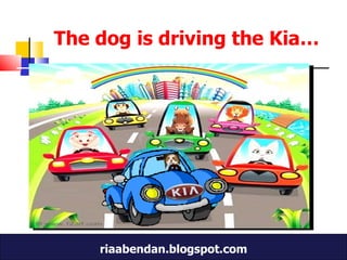 The dog is driving the Kia… 