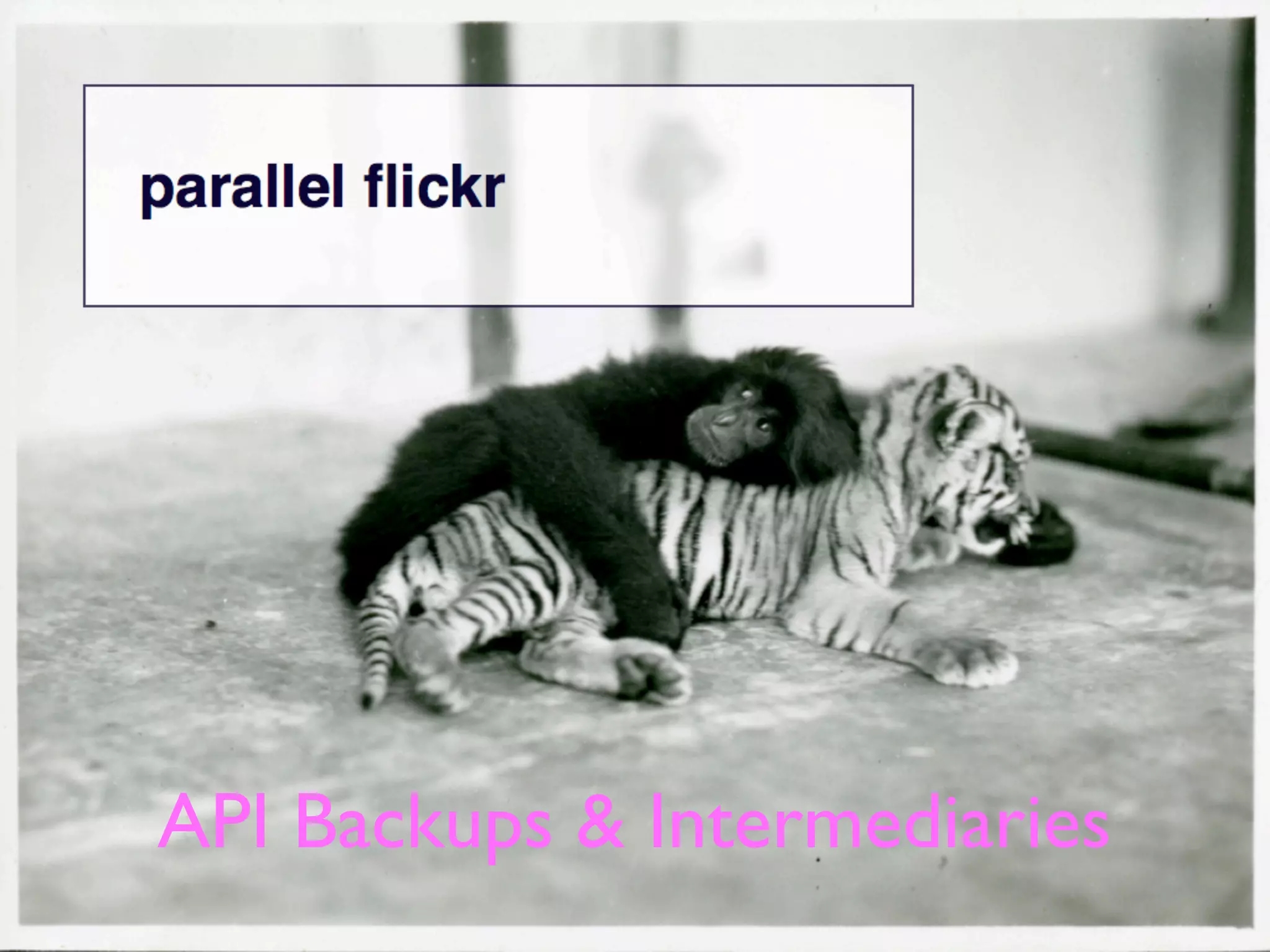 API Backups & Intermediaries
 