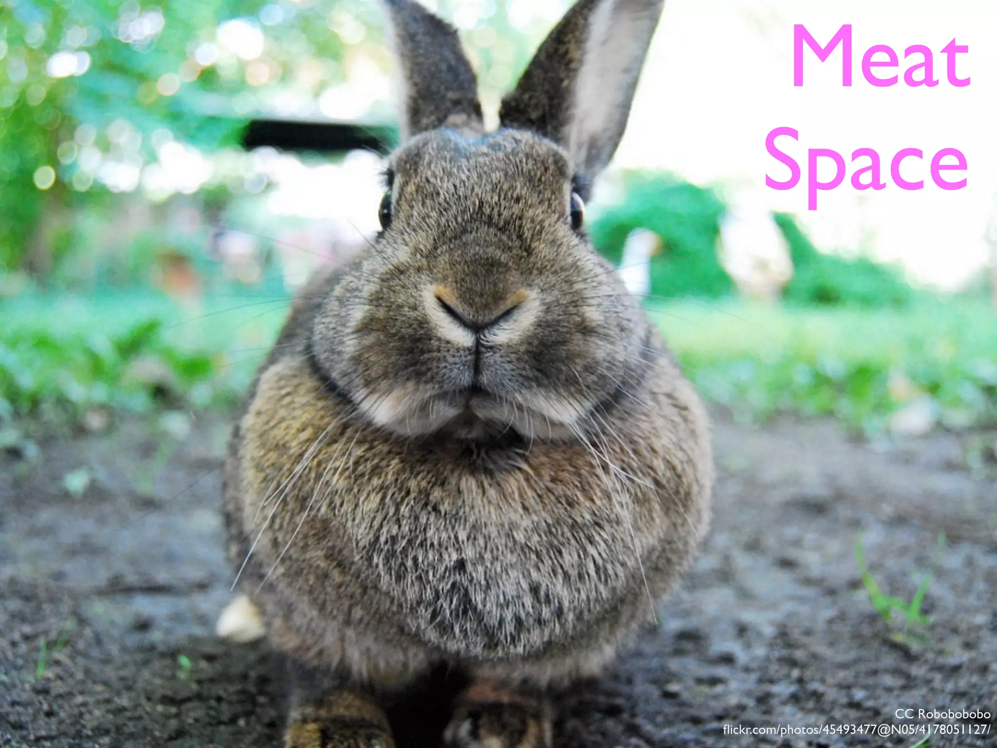 CC Robobobobo
ﬂickr.com/photos/45493477@N05/4178051127/
Meat
Space
 