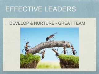 DEVELOP & NURTURE - GREAT TEAM
 