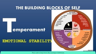 THE BUILDING BLOCKS OF SELF
emperament
EMOTIONAL STABILITY
Photo credit to https://www.clker.com/clipart-316679.html
 