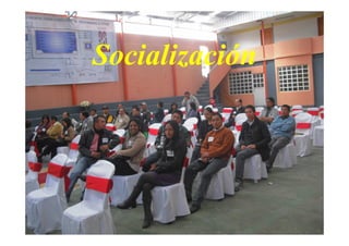 Socialización
 