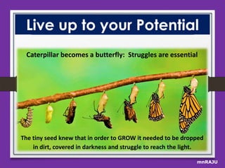 Live up to your Potential
Caterpillar becomes a butterfly: Struggles are essential

The tiny seed knew that in order to GROW it needed to be dropped
in dirt, covered in darkness and struggle to reach the light.
mnRAJU

 