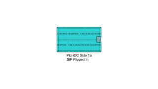Personal Electronic Health Diary Card