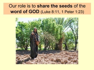 Our role is to share the seeds of the
word of GOD (Luke 8:11, 1 Peter 1:23)
 