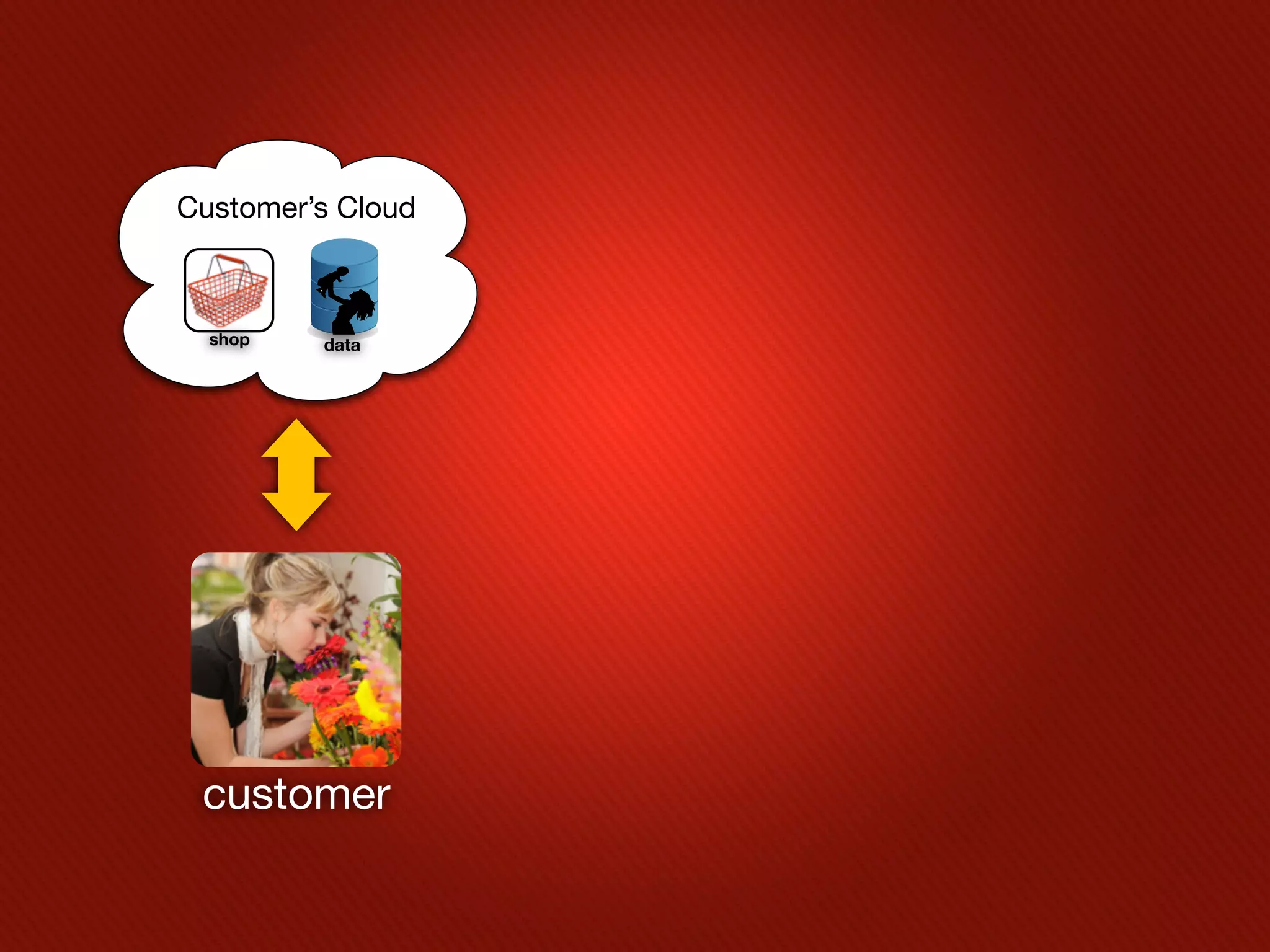 Customer’s Cloud



  shop   data




 customer
 