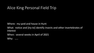 Alice King Personal Field Trip
Where: my yard and house in Hunt
What: notice and [try to] identify insects and other invertebrates of
interest
When: several weeks in April of 2021
Why: …..
 