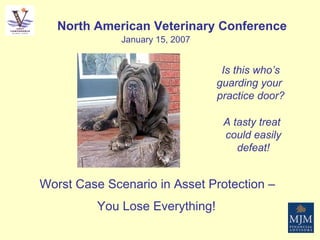 Worst Case Scenario in Asset Protection –  You Lose Everything!   North American Veterinary Conference January 15, 2007 Is this who’s guarding your  practice door? A tasty treat  could easily defeat! 