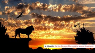 173
At this point the Fox did something no other animal dared to do
 