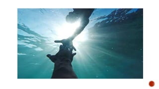 Personal Goal Setting: Para Kanino ka bumabangon