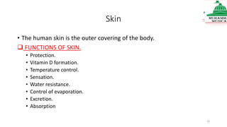 Skin
• The human skin is the outer covering of the body.
 FUNCTIONS OF SKIN.
• Protection.
• Vitamin D formation.
• Temperature control.
• Sensation.
• Water resistance.
• Control of evaporation.
• Excretion.
• Absorption
16
 