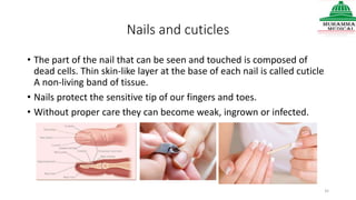 Nails and cuticles
• The part of the nail that can be seen and touched is composed of
dead cells. Thin skin-like layer at the base of each nail is called cuticle
A non-living band of tissue.
• Nails protect the sensitive tip of our fingers and toes.
• Without proper care they can become weak, ingrown or infected.
35
 