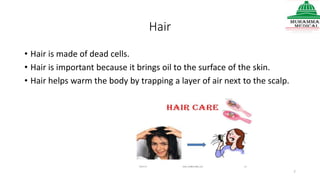 Hair
• Hair is made of dead cells.
• Hair is important because it brings oil to the surface of the skin.
• Hair helps warm the body by trapping a layer of air next to the scalp.
7
 