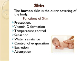 Skin
Skin
The human skin is the outer covering of
the body.
Functions of Skin
Protection.
Vitamin D formation
Temperature control
Sensation
Water resistance
Control of evaporation
Excretion
Absorption
 