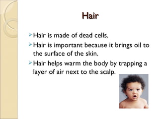 Hair
Hair
Hair is made of dead cells.
Hair is important because it brings oil to
the surface of the skin.
Hair helps warm the body by trapping a
layer of air next to the scalp.
 