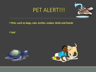PET ALERT!!!
Pets, such as dogs, cats, turtles, snakes, birds and lizards
Soil
 