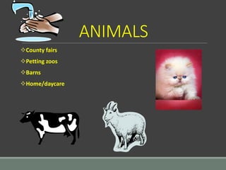 ANIMALS
County fairs
Petting zoos
Barns
Home/daycare
 