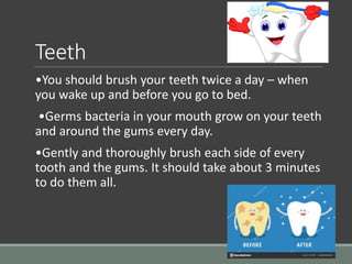 Teeth
•You should brush your teeth twice a day – when
you wake up and before you go to bed.
•Germs bacteria in your mouth grow on your teeth
and around the gums every day.
•Gently and thoroughly brush each side of every
tooth and the gums. It should take about 3 minutes
to do them all.
 
