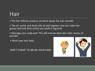 Hair
• The hair follicles produce oil which keeps the hair smooth.
• The oil, sweat and dead cells all add together and can make hair
greasy and look dirty unless you wash it regularly.
• Massage your scalp well. This will remove dead skin cells, excess oil
and dirt.
• Wash your hair daily.
DON’T FORGET TO BRUSH YOUR HAIR!
 