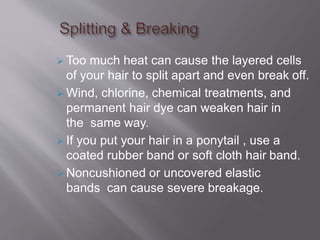  Too much heat can cause the layered cells
of your hair to split apart and even break off.
 Wind, chlorine, chemical treatments, and
permanent hair dye can weaken hair in
the same way.
 If you put your hair in a ponytail , use a
coated rubber band or soft cloth hair band.
 Noncushioned or uncovered elastic
bands can cause severe breakage.
 