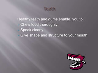 Healthy teeth and gums enable you to:
 Chew food thoroughly
 Speak clearly
 Give shape and structure to your mouth
 