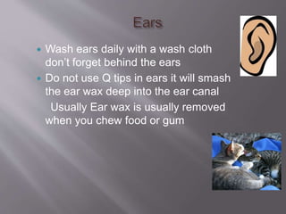  Wash ears daily with a wash cloth
don’t forget behind the ears
 Do not use Q tips in ears it will smash
the ear wax deep into the ear canal
Usually Ear wax is usually removed
when you chew food or gum
 