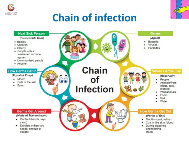 Personal hygiene and hand washing procedure | PDF