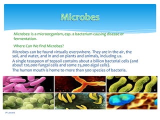 JP Lawand
Microbes can be found virtually everywhere. They are in the air, the
soil, and water, and in and on plants and animals, including us.
A single teaspoon of topsoil contains about a billion bacterial cells (and
about 120,000 fungal cells and some 25,000 algal cells).
The human mouth is home to more than 500 species of bacteria.
Microbes: is a microorganism, esp. a bacterium causing disease or
fermentation.
Where Can We find Microbes?
 