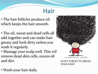 Hair
• The hair follicles produce oil
which keeps the hair smooth.
• The oil, sweat and dead cells all
add together and can make hair
greasy and look dirty unless you
wash it regularly.
• Massage your scalp well. This will
remove dead skin cells, excess oil
and dirt.
• Wash your hair daily.
DON’T FORGET TO BRUSH
YOUR HAIR!
 