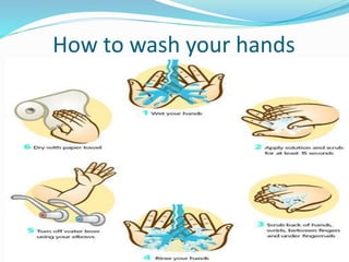 How to wash your hands

 