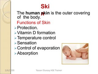 Ski
nThe human skin is the outer covering
of the body.
Functions of Skin
Protection.
Vitamin D formation
Temperature control
Sensation
Control of evaporation
Absorption
2/6/2020 Yasser Elsnosy HSE Trainer
 